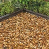 Golden Gravel 10mm Bulk Bag
